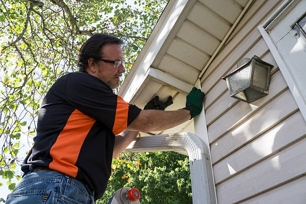 Best Shed Removal  in Alton, IA